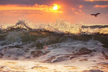 日出和波光粼的海洋图片