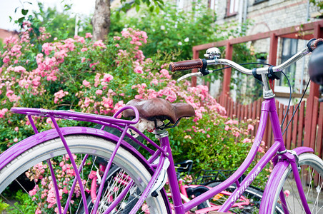 花前的粉色自行车图片