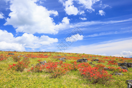 日本在日本长野Kirigamiine高原的日本图片