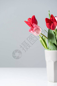 灰色花瓶中美丽盛开的红色和粉背景图片