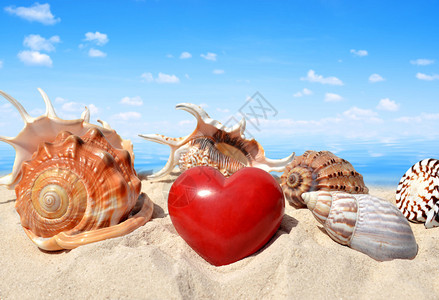 海螺壳与海滩上的心图片
