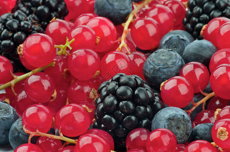 黑莓红曲线和蓝莓闭合层不同贝图片