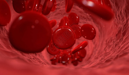 以红色血细胞流经红血细胞的血液管进行大型连接图片