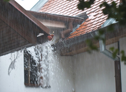 屋顶上的大雨图片