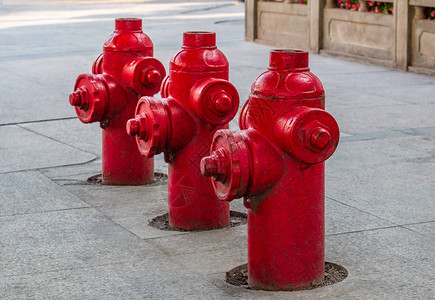 上海街头的消防栓组天图片