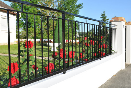 红玫瑰前优雅的黑色金属栅栏背景图片