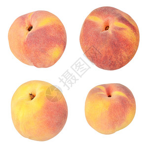 四颗成熟的桃子白图片