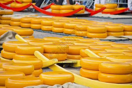 荷兰阿尔克马尔的奶酪图片