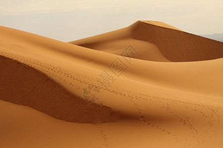 撒哈拉沙漠摩洛哥图片