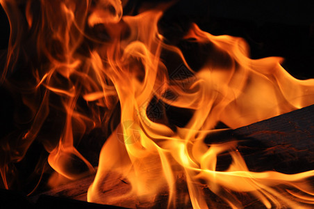 燃烧的火焰中的原木图片图片