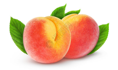 两个新鲜桃子上白色孤立图片