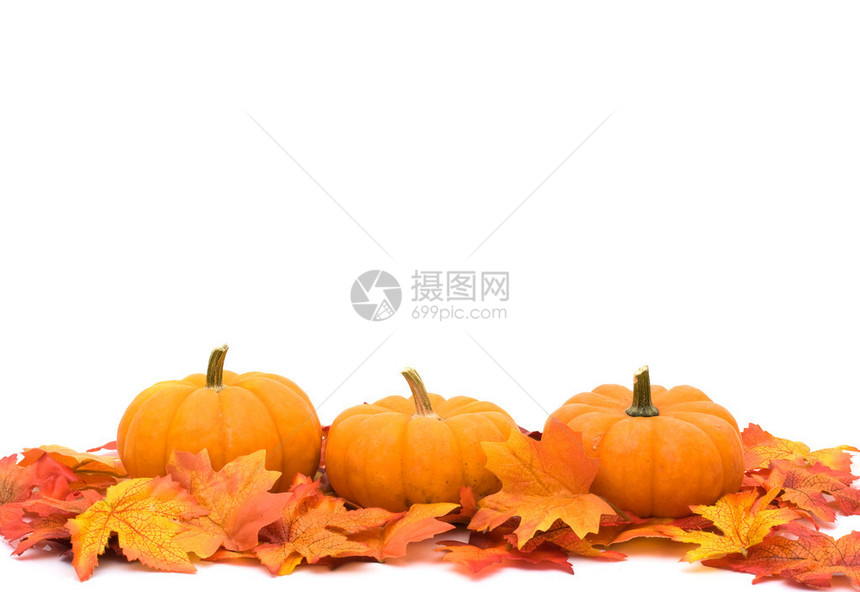 秋天的树叶底部有南瓜边框秋天的背景图片