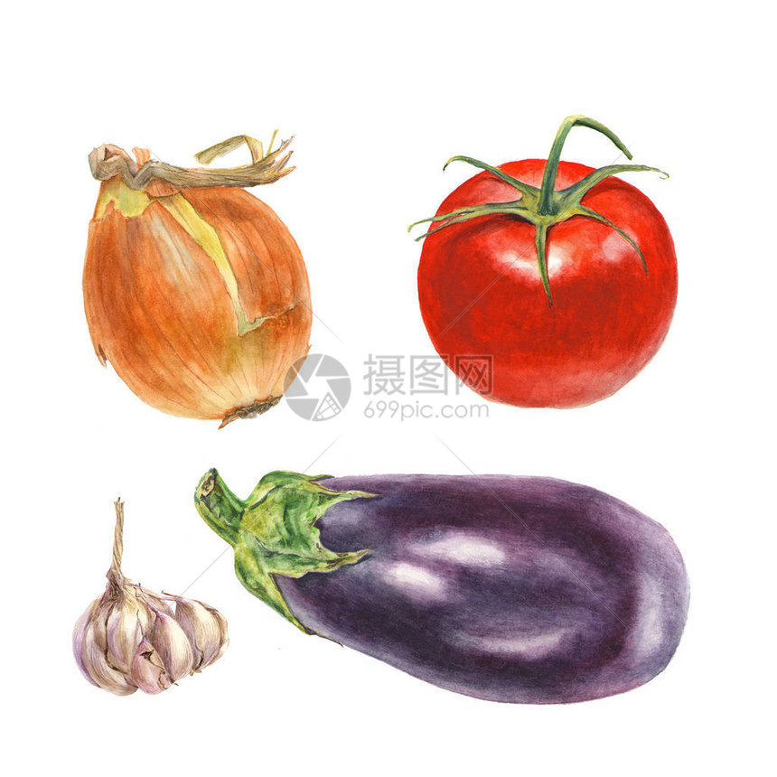 洋葱番茄大蒜白背景黄豆等植物水颜色图解图片