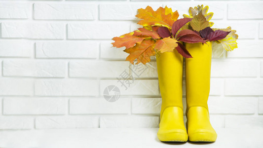 黄色橡胶靴图片
