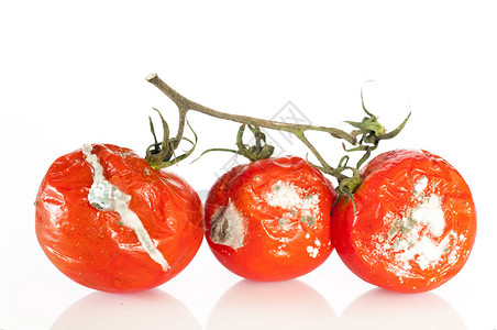 详细说明一些处于腐烂状态的西红柿图片