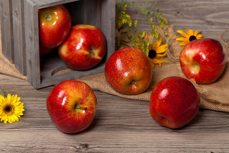 红苹果的新鲜收获自然主题图片