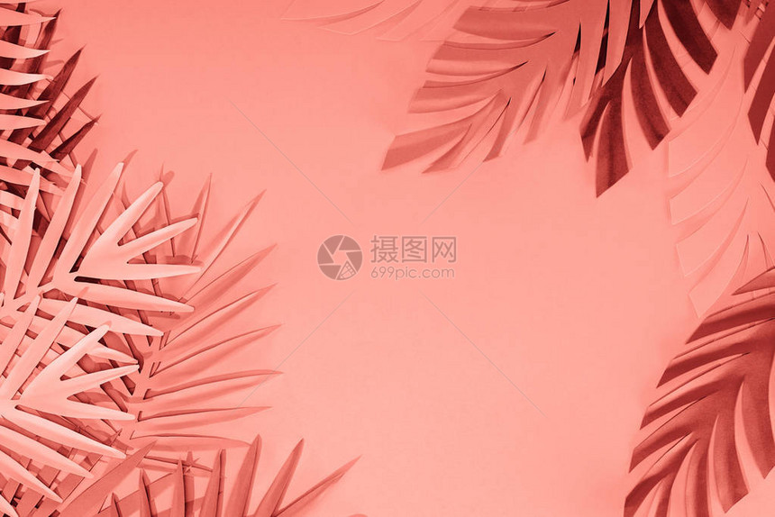 珊瑚热带纸切棕榈叶框架图片