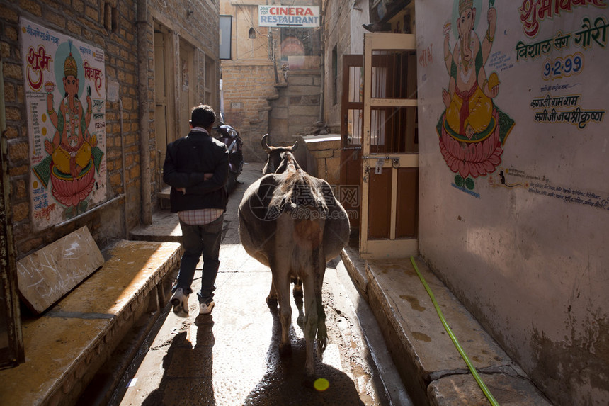 在Rajasthan的Jaisalmer街上图片