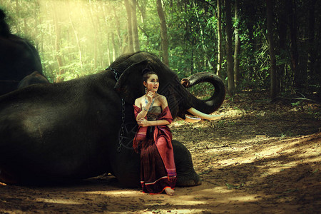 坐在腿大象上的女人图片
