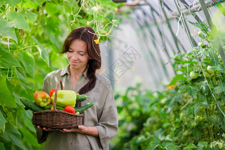 女人采摘蔬果图片