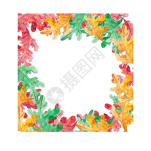 白色背景上有彩色叶子的方形花框背景图片