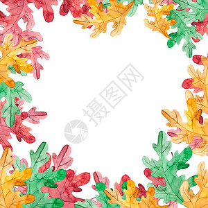 秋季花卉框架与白色背景上的彩色叶子背景图片