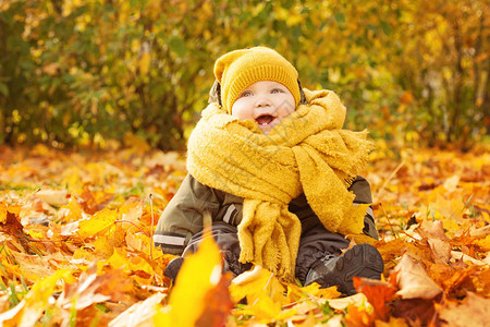秋天的婴儿在户外秋天枫叶秋天公园图片