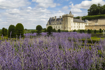 在法国因德莱特卢瓦尔的维拉德里城堡花园图片