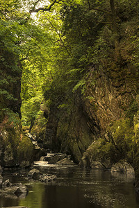 绿地流淌着岩壁和溪流这片深处峡谷的美丽beate图片