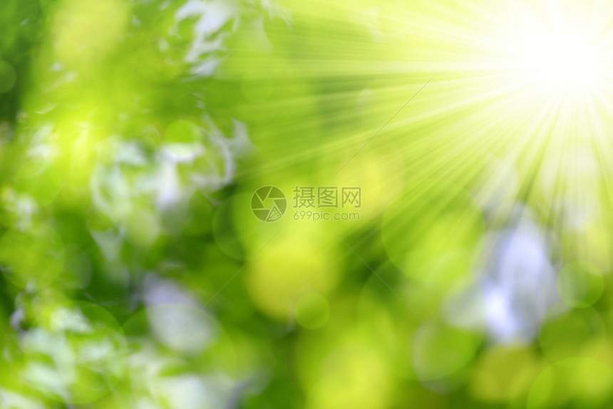 阳光抽象绿色图片