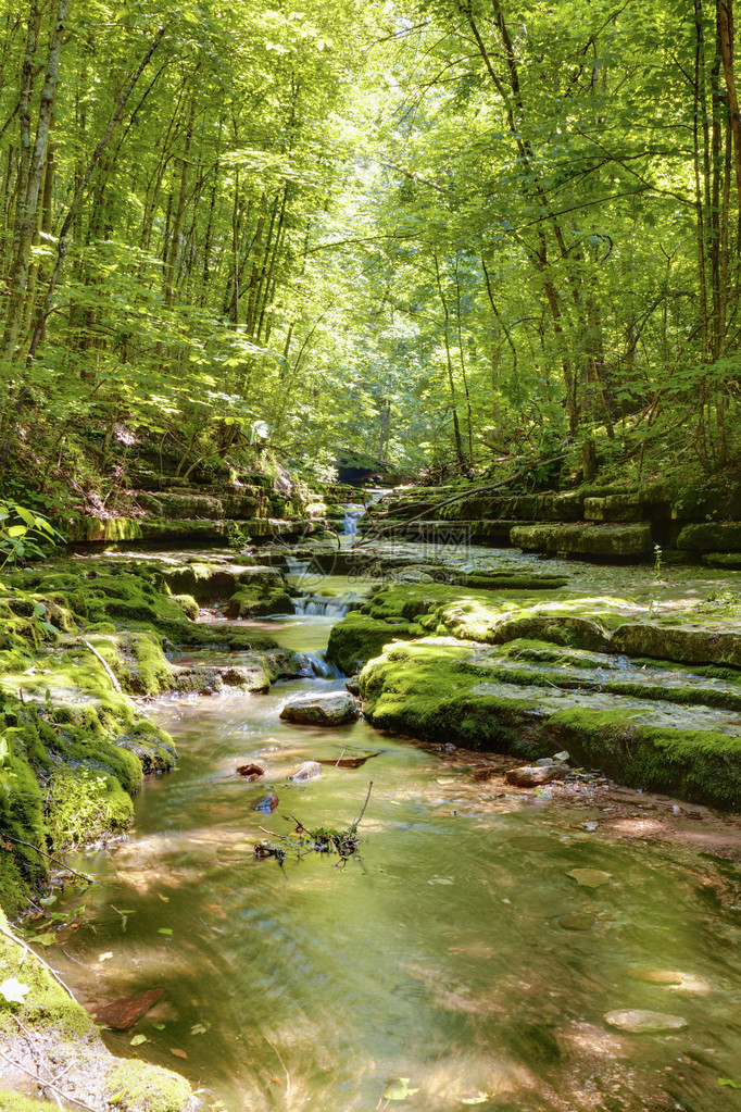 在肯塔基中部的夏日森林中与小溪一起进行美图片