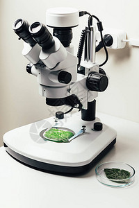 现代生物技术实验室显微镜下绿叶图片