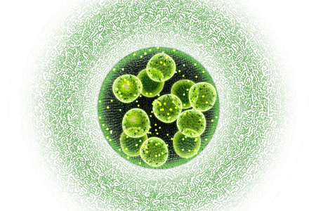 绿色单细胞氯乙烯藻类微生物背景图片