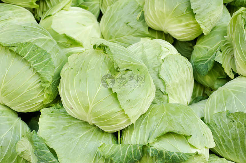 卷心菜成团新鲜的绿色蔬菜图片