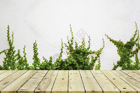 绿色常春藤墙和旧木图片