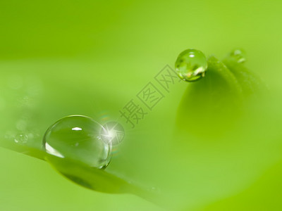 绿色的水滴图片