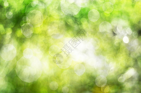 天然绿色模糊抽象闪耀背景图片