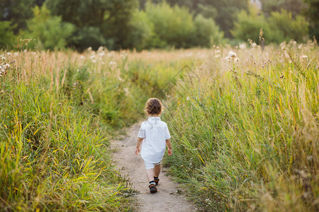 夏天在田野里走路的小男孩图片