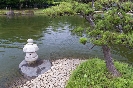 松树石灯禅景背景图片