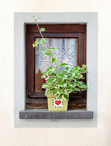 夏天用花盆装饰的小窗户图片