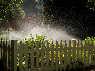 花园里草坪洒水器喷出的水花背景图片