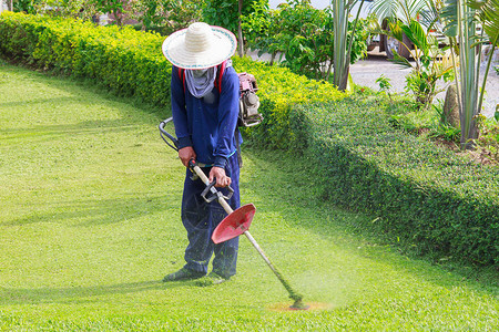 工人用除草机在花园里割草图片