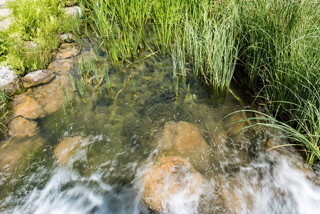 河流中有清洁的水流淌在岩图片
