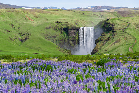 冰岛Skogafos图片
