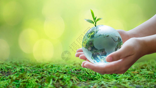 成年人正在把世界送给婴儿概念日地球拯救世界拯救环境世界在绿色散景图片
