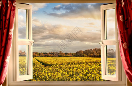 透过黄色庄稼的开窗可以看到令人惊叹的景色背景图片