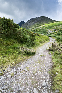 爱尔兰克里县丁格莱半岛山丘公路图片
