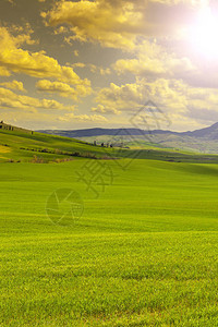 意大利景观与早春日出时的草地意大利的农业田野牧场图片