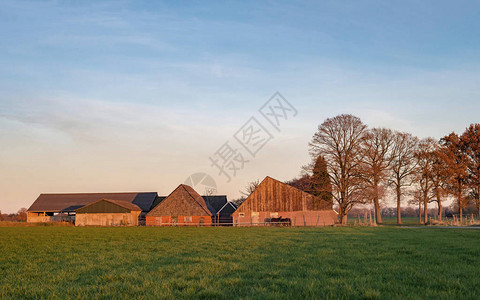 荷兰乡村秋季景观中的谷仓被低光照亮图片