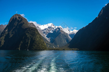 新西兰南岛米尔福德峡湾的渡轮巡游图片